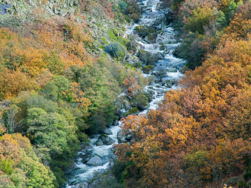 Otoñada En El Valle Del Jerte 2292