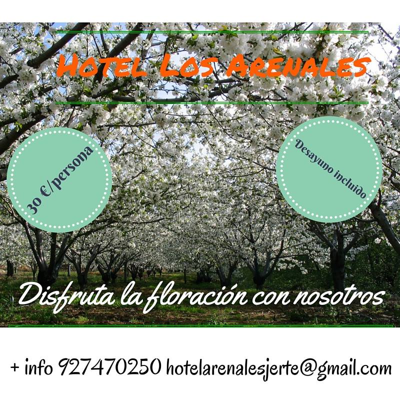 Hotel Los Arenales Oferta Floración 2018