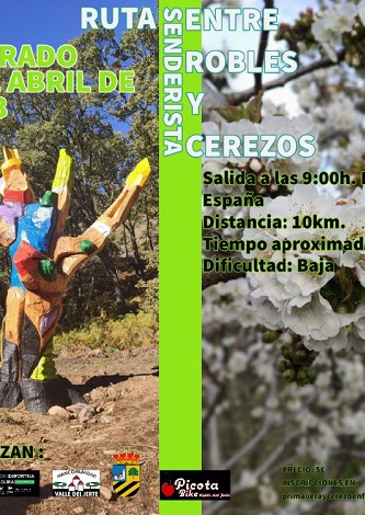 Ruta senderismo Entre robles y cerezos